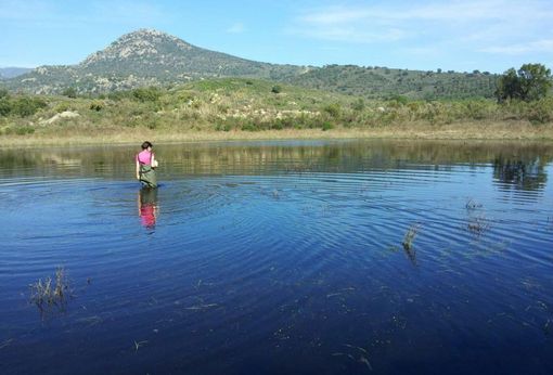 Una buena conservación y gestión de los estanques y balsas puede contribuir a la ralentización del cambio climático
